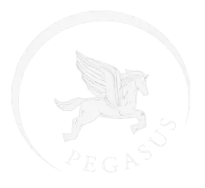 about pegasus transport service